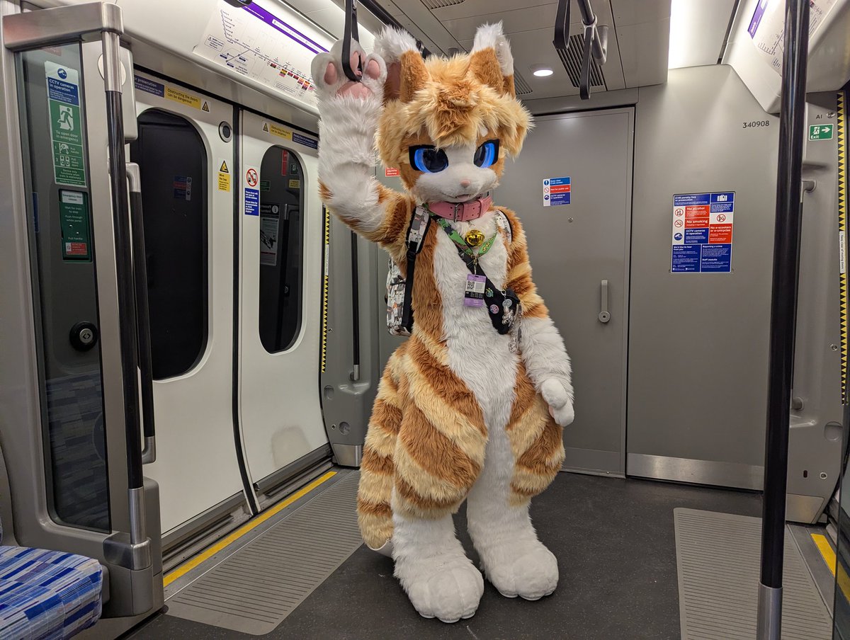 Taking the Lizzard line