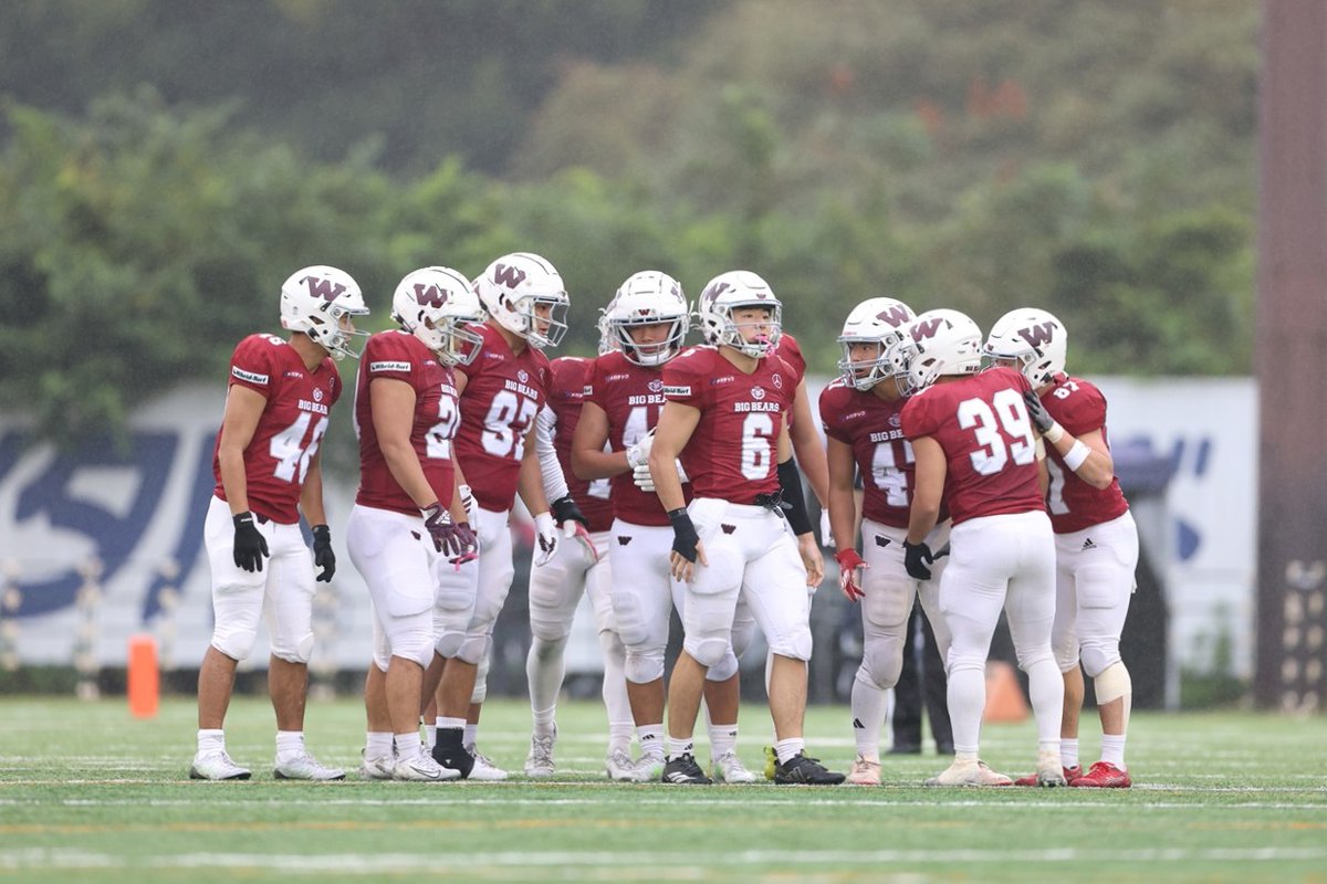 adidas 早稲田大学“BIG BEARS“試合用フットボールパンツ Lサイズ 新