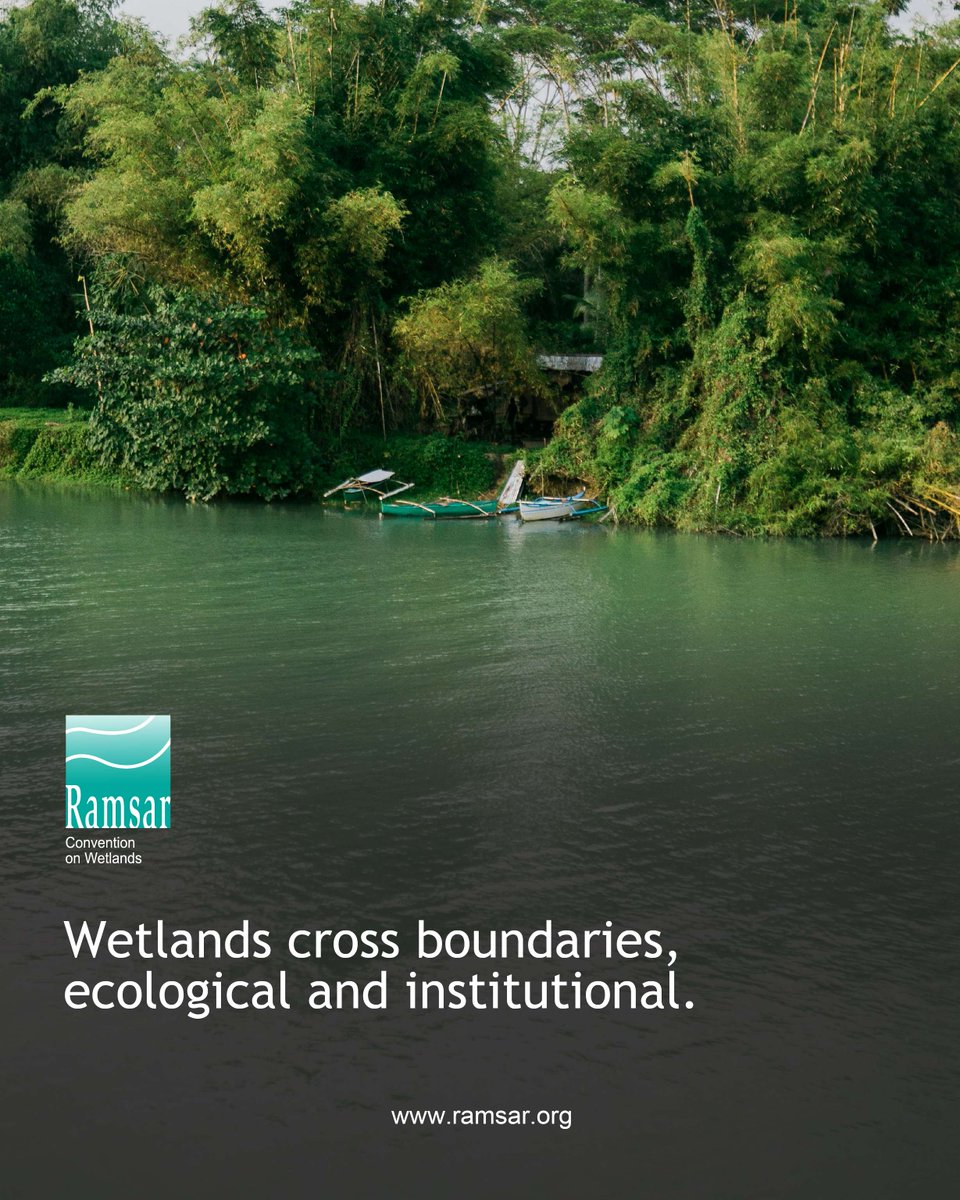 🌿Wetlands are some of our most productive ecosystems. Without these ecosystem services, we cannot survive.

💧They are also dynamic habitats, shaped by the water that flows through them, connecting ecosystems and social systems alike.  

#SpeakForWetlands #WetlandsMatter