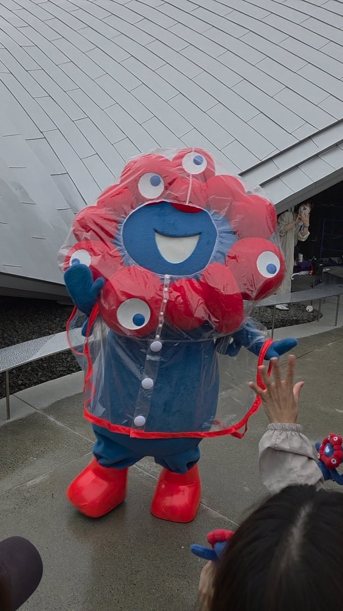 松ぼっくりと人 まつぼっくり (@matsubokkuri11) / Posts / X