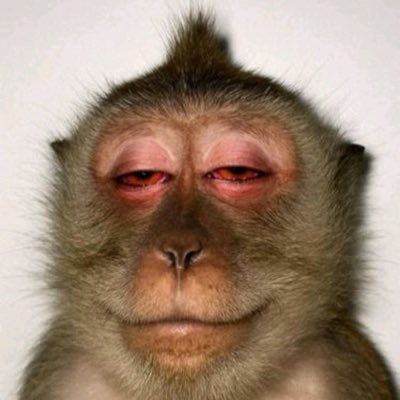 PolkaCS's tweet photo. #NewProfilePic https://t.co/1F4Ox084dX