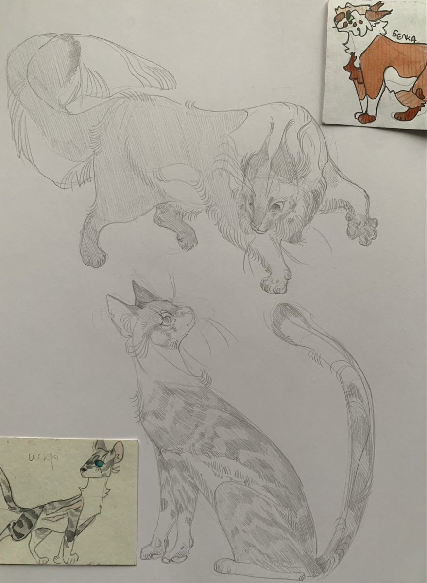 Ivypool and Squirrelflight