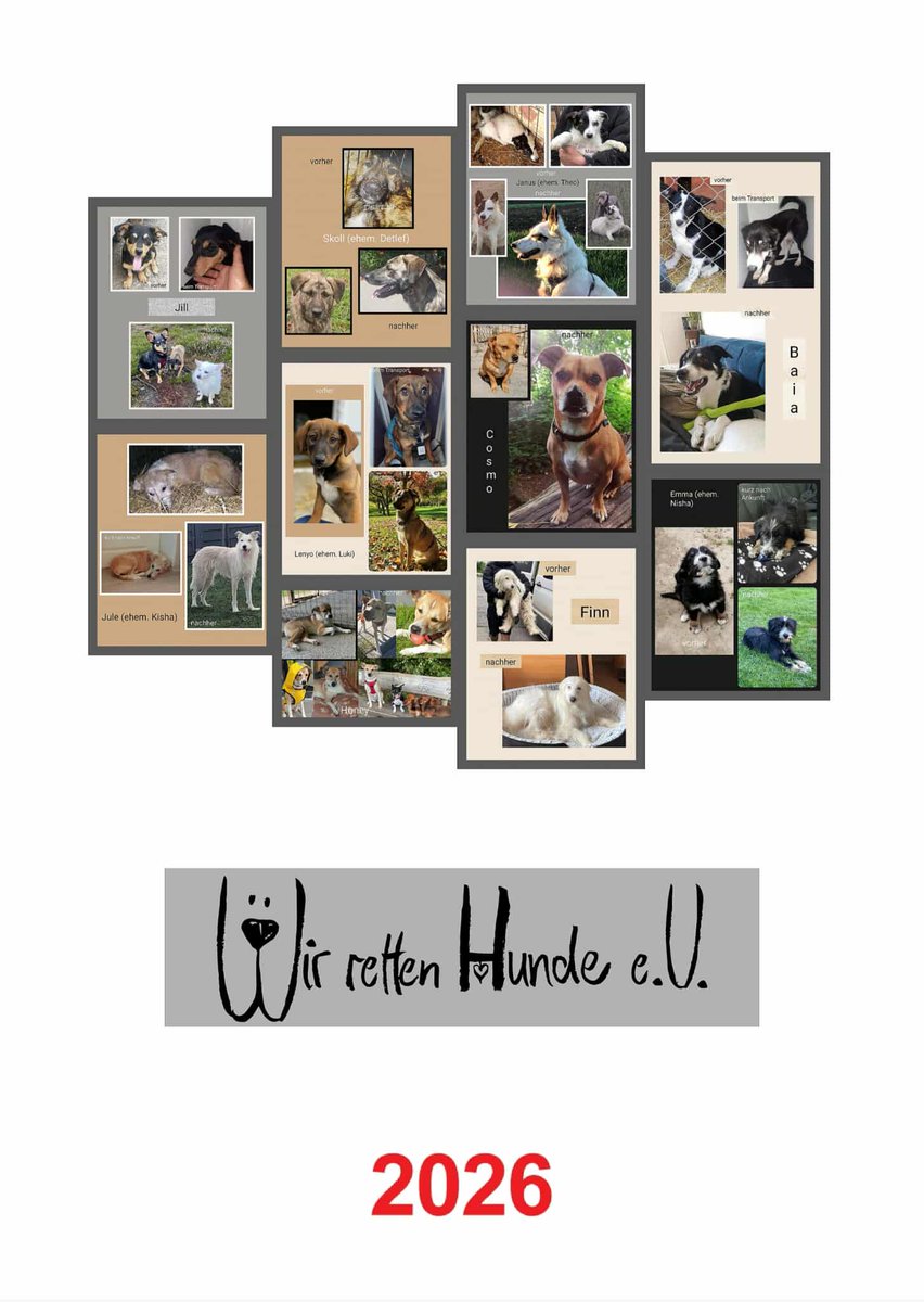 📆 Unser WrH-Kalender 2026 ist in Arbeit!
🐾 Alle Kalenderstars stehen fest – danke fürs Mitmachen!
💯 Der Erlös geht komplett in unsere Kastrationsprojekte.
📧 Jetzt vorbestellen: wir-retten-hunde@vrieslander.de
💶 15 € + Porto