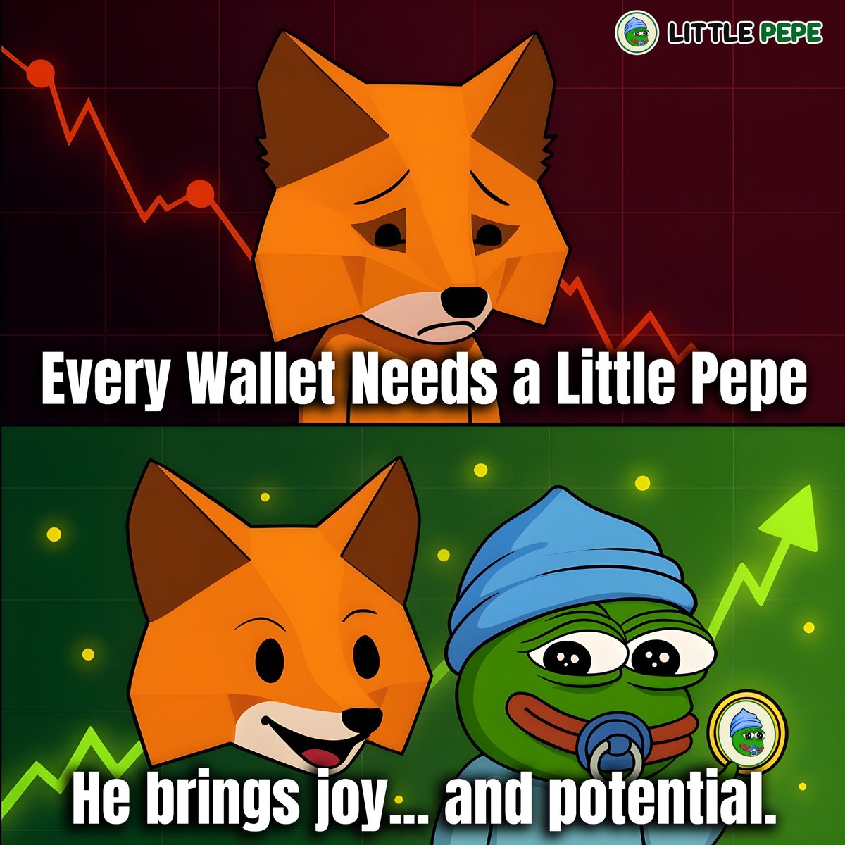 Little Pepe tweet media