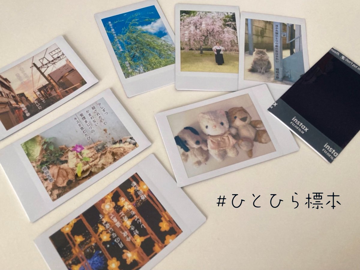 ✿ 古都 ✿【W27】文学フリマ東京 on X