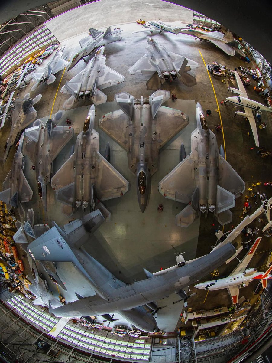 BLackgold_5's tweet image. Count the Raptors??