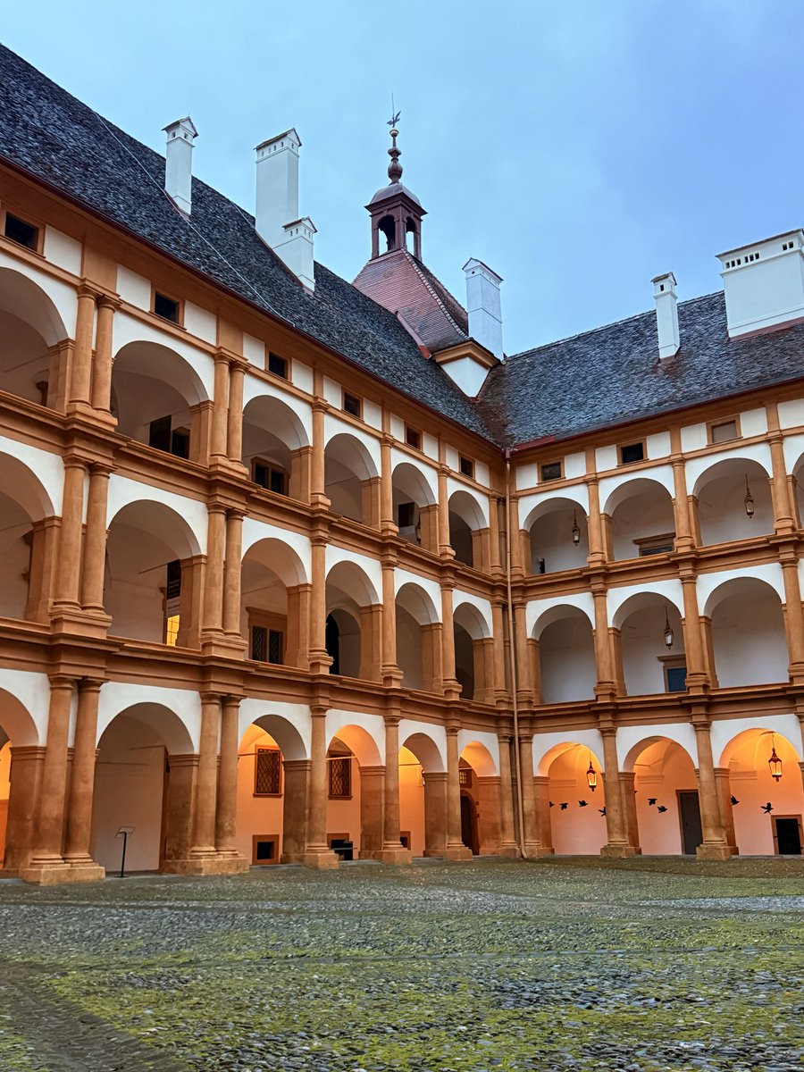 Klemens 🦆 Art of Fauna tweet media