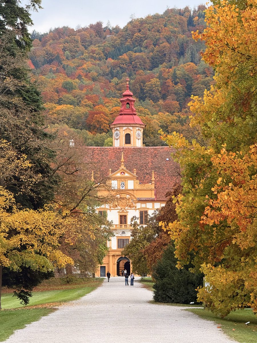 Klemens 🦆 Art of Fauna tweet media