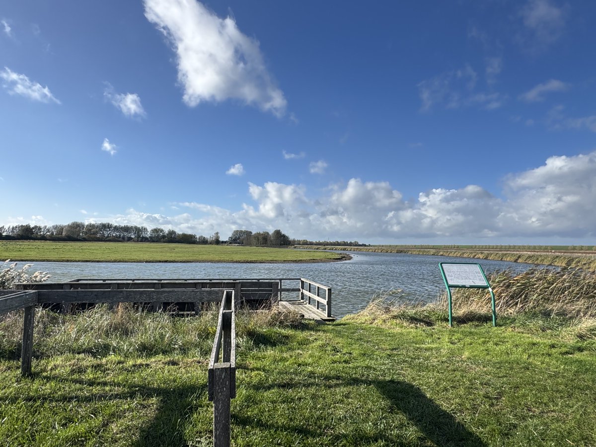 Bij de Plaskreek aan de Dijkeputten bij Hoofdplaat gisterenmiddag de wind was krachtig #Benjamin 💨💨💨🤦🏻‍♀️
 Goedemorgen 🌨️🌬️🌬️wens jullie een mooi weekend toe 😘☕️🍀