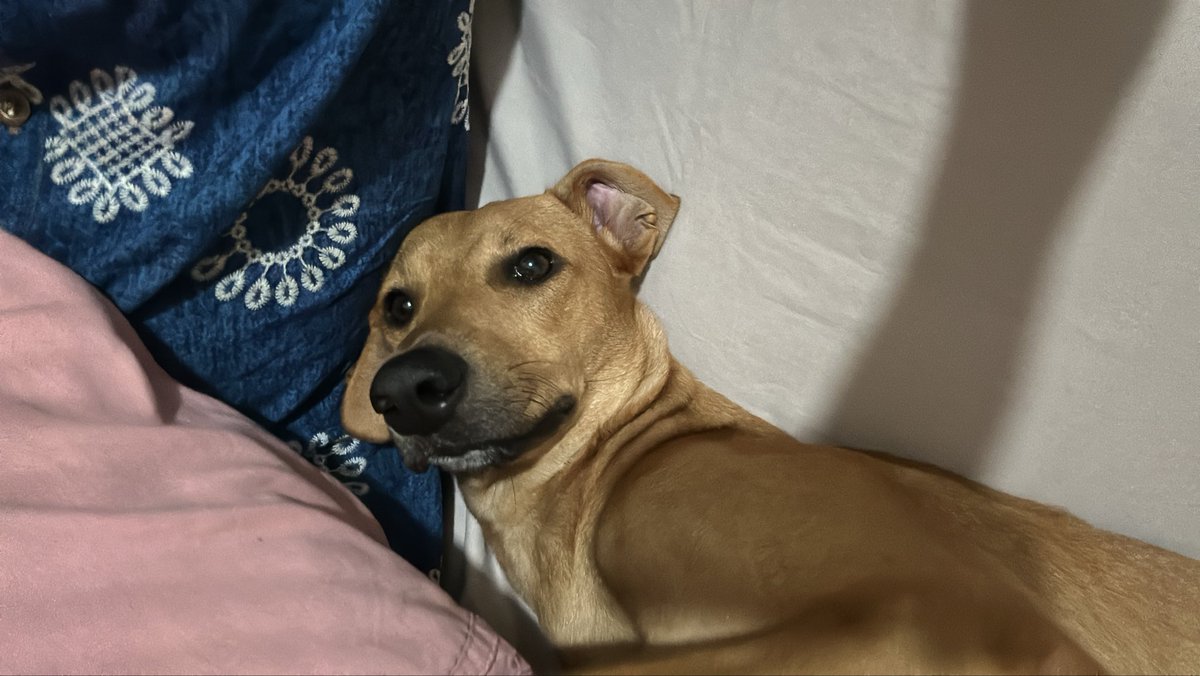 Te amo Cora Elizabeth ❤️