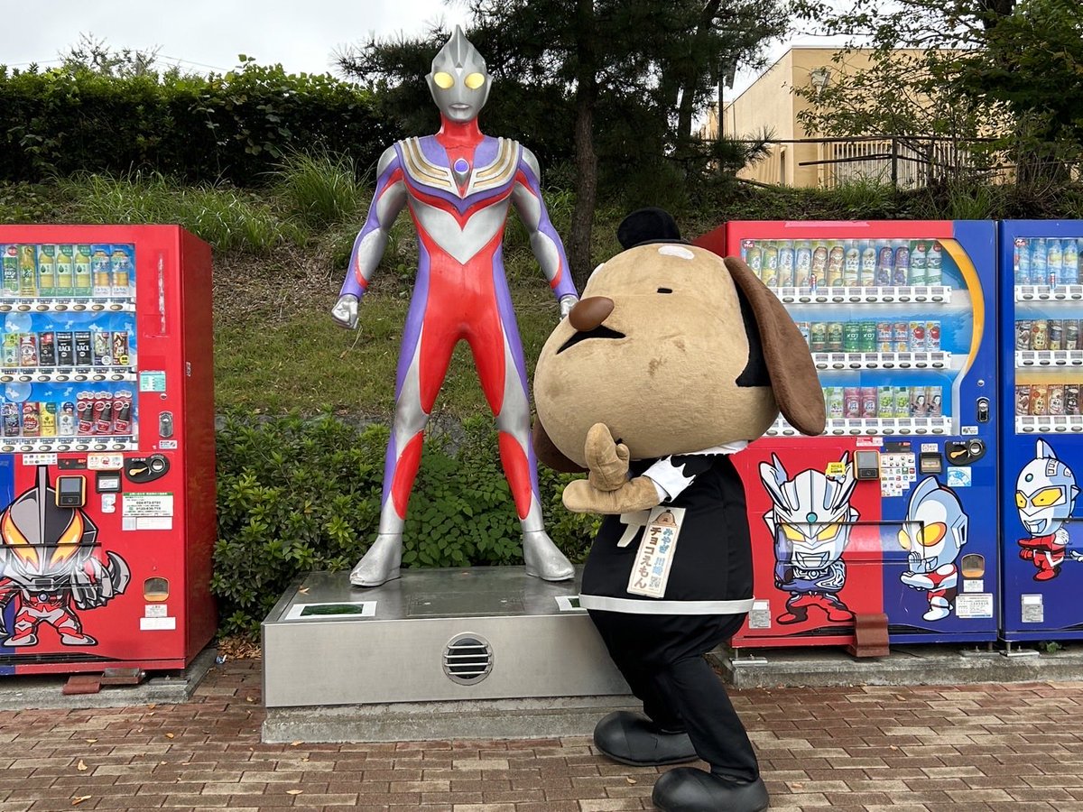 Post by チョコえもん｜宮城県川崎町観光PRキャラクター on X: シュワッチ