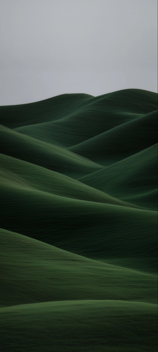 Clean iOS Setup ✨

Widgy widget you can get here

Bundle (146 Widget):
ko-fi.com/s/c79aa01111
blvcksun.gumroad.com/l/fvlmi

Package (82 Widget):
ko-fi.com/s/9ae81d6333

Donate me on Paypal bsun375@gmail.com

#wallpaper