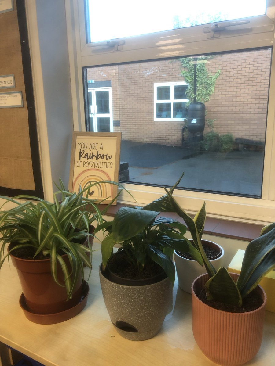 Classroom tidied, desk cleared and plants watered- the end of a half term.

First half term in Y4 has been challenging, but great. Really enjoying seeing the kids tackle new concepts and ‘get’ tricky ideas (4 digit column sub👀).

Excited to catch up with friends &amp; get some rest