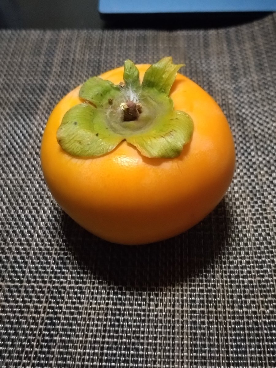 nyan C🐧🍌🍃🏵️🍱 on X