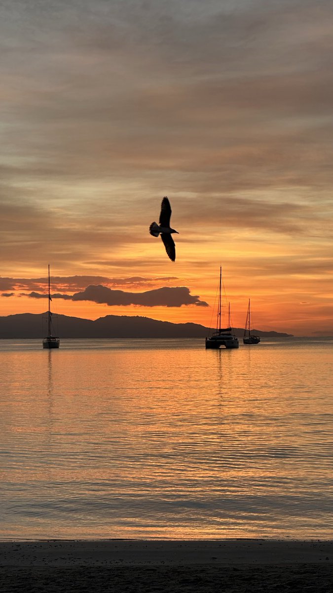 Alessandra tweet media