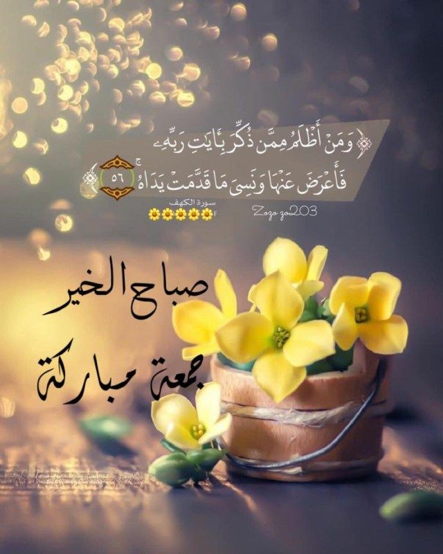 fd_memon's tweet photo. صبح بخیر 💐 https://t.co/nDA0lGoCIG