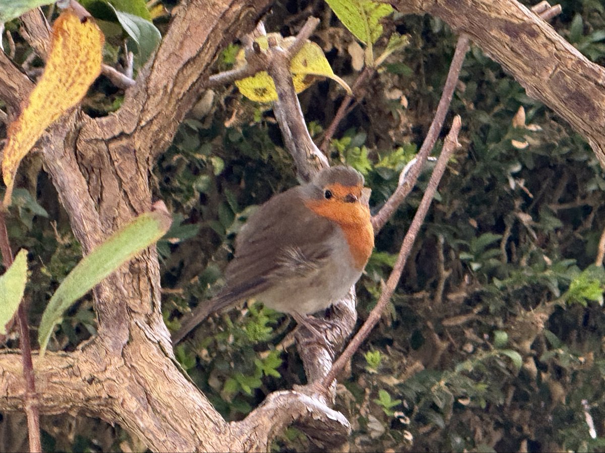 Beti sentitzen zaitut gertu