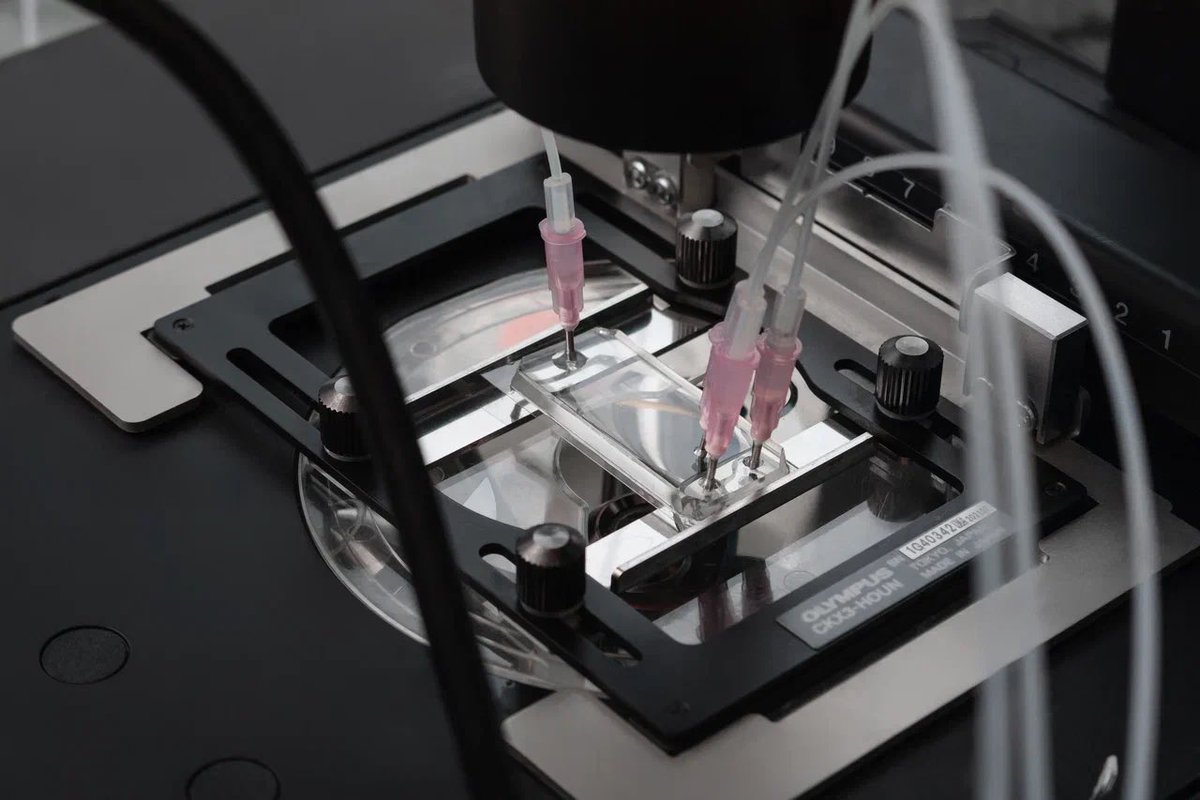 neirylab's tweet photo. Inside the Neiry lab.
Printing components, tuning microfluidic systems,preparing stimulators for new experiments. https://t.co/h7SiipzWvs