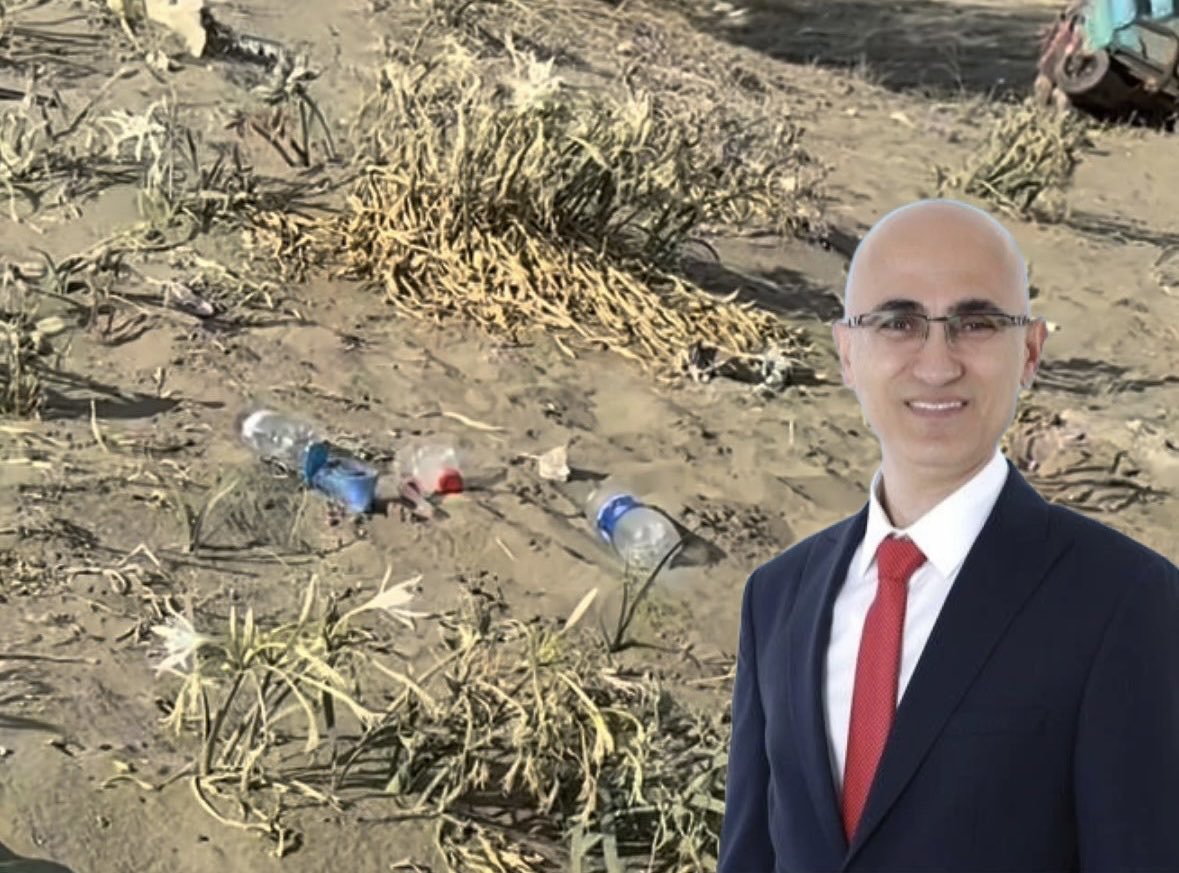 Selahattin Menteş: Adana’da kum zambaklarını koparmanın cezası 2,8 milyon TL ama üzerlerine çöp atmak bedava!