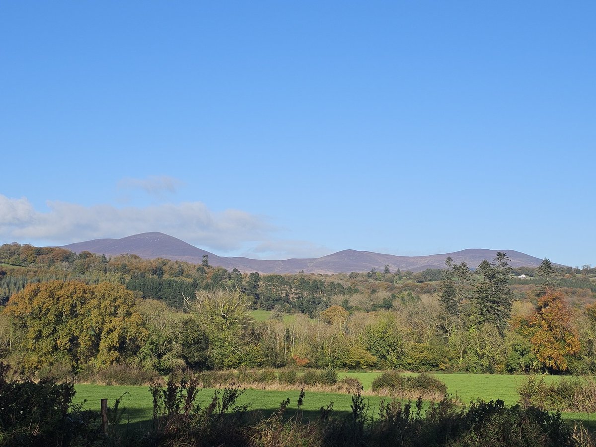 Roger Barkley tweet media