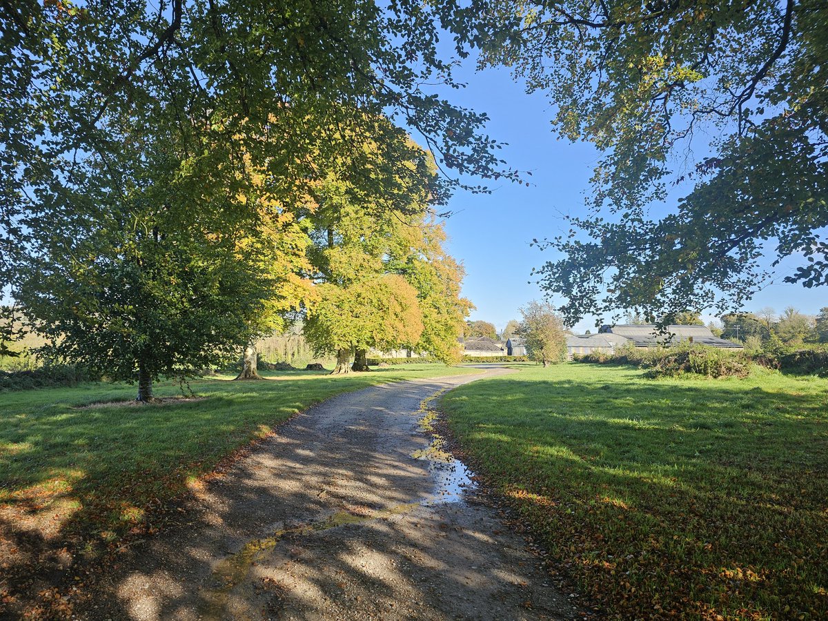 Roger Barkley tweet media