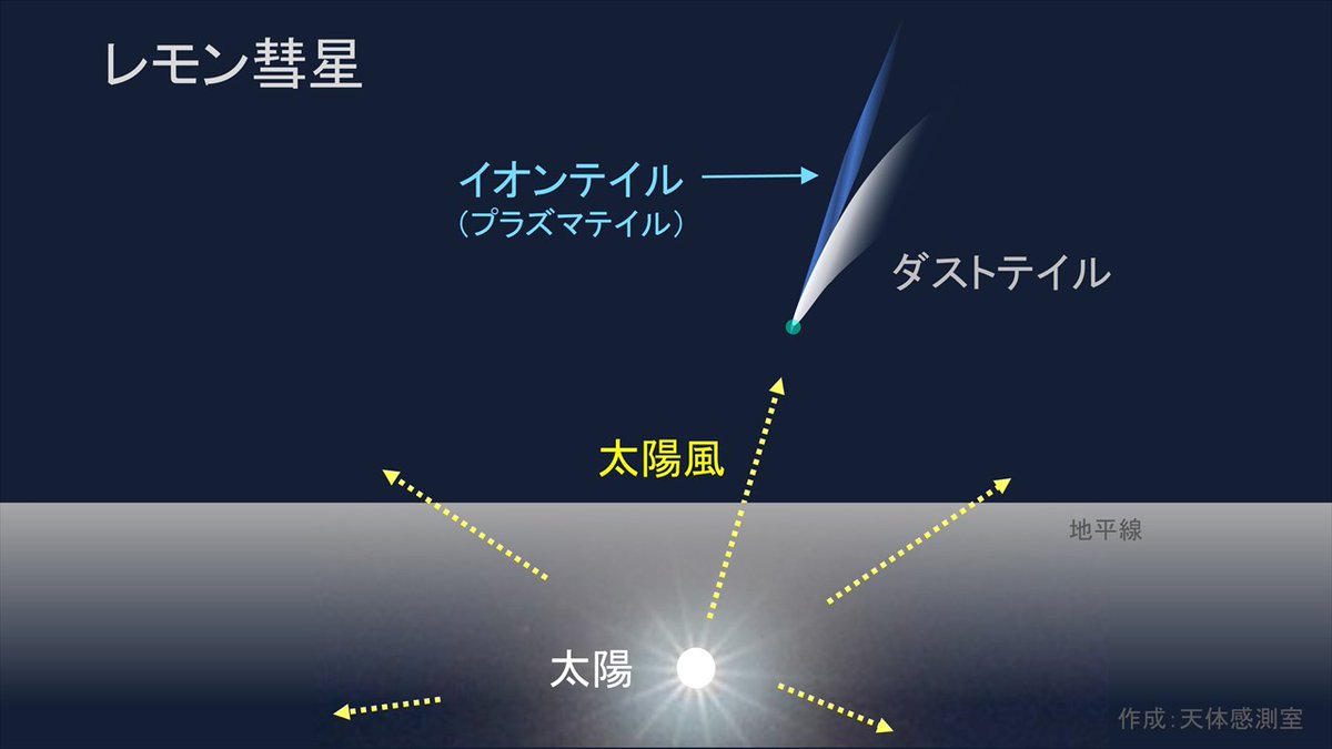 レモン彗星が夕方に見頃を迎えています。油井さんは宇宙から！
尾のうち「イオンテイル」は太陽風磁場に引きずられてなびくため、だいたい太陽の反対方向に伸びます。
彗星の画像を見かけたら、イオンテイルを逆に伸ばして太陽がいるのを想像してみましょう。
太陽のすごさが伝わってくる天体ですね。