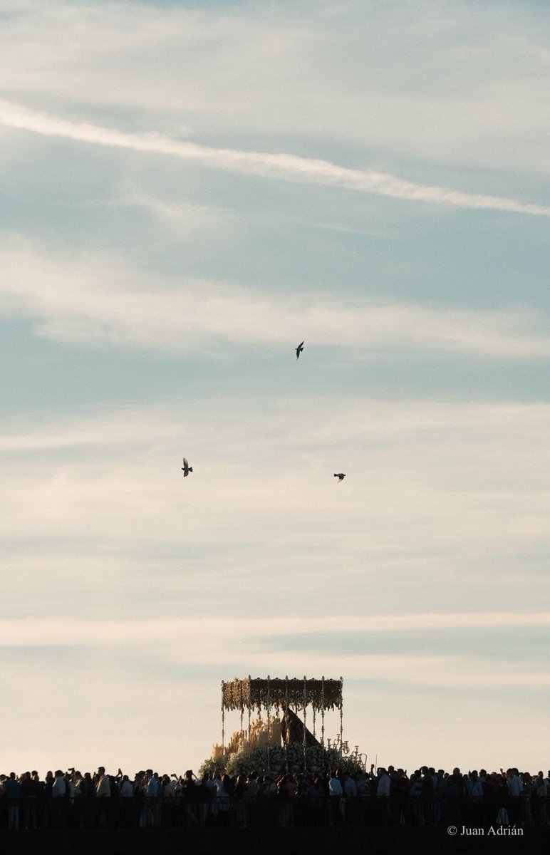 Amanece con la Esperanza.

#LaMisiónDeLaEsperanza