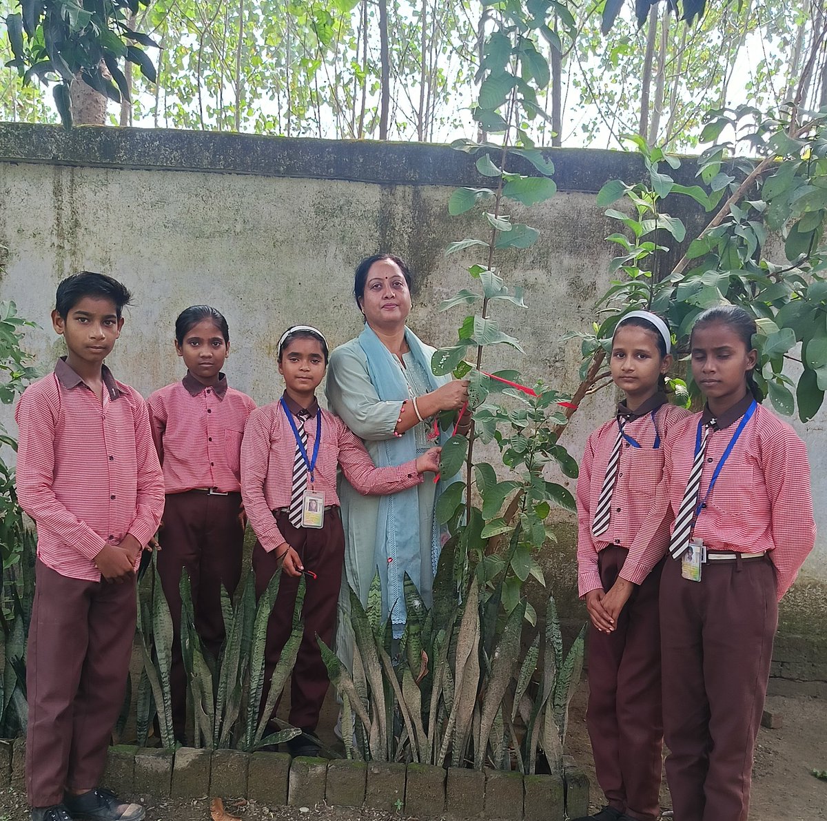🌳 #प्रकृति_मित्र 🌳
 Ruchi Sharma,
Composite School Pitambarpur, Nawabganj, Bareilly
<a href="/shikshansamvad/">मिशन शिक्षण संवाद @shikshansamvad</a>  <a href="/teachersclubup/">teachers club</a> <a href="/UNEP/">UN Environment Programme</a> <a href="/eriksolheim/">Erik Solheim</a> <a href="/myogiadityanath/">Yogi Adityanath</a> <a href="/narendramodi/">Narendra Modi</a> <a href="/DEFCCOfficial/">Department of Environment, Forest & Climate Change</a> <a href="/basicshiksha_up/">Department Of Basic Education Uttar Pradesh</a> <a href="/Rupendersingh02/">Rupender Singh MSS</a>
साभार- टीम प्रकृति मित्र 
मिशन शिक्षण संवाद
#EkPedMaaKeNaam