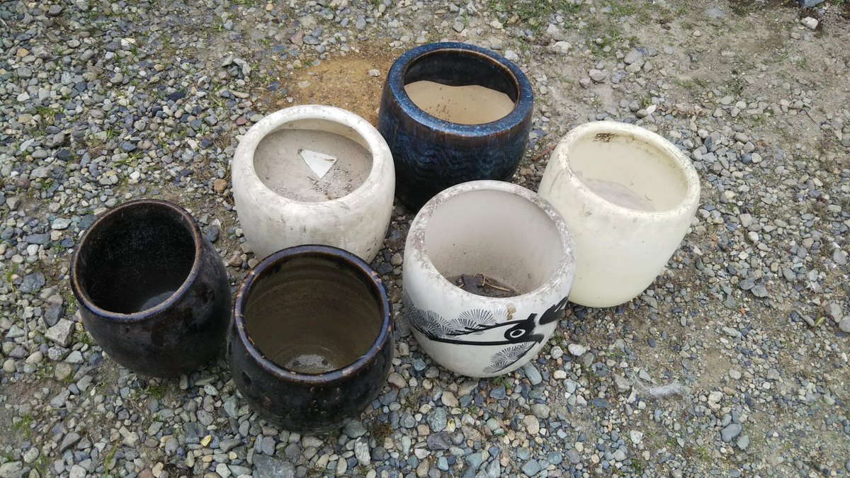 ２つって言ったじゃん