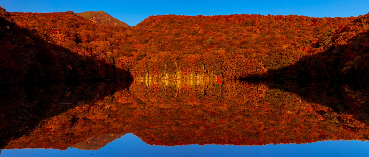 Walking Bicycles on X