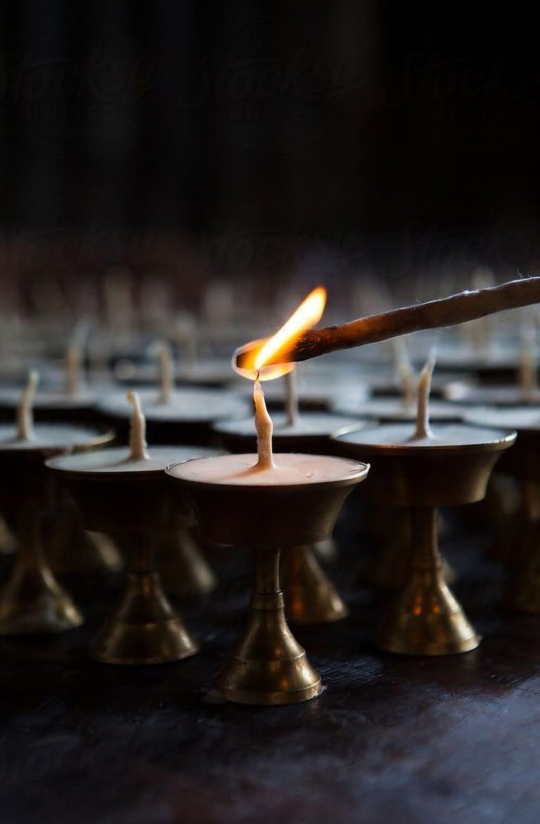 Гэртээ ирлээ , дүүрэн хүн байна. Миний сайхан эмээ минь л алга