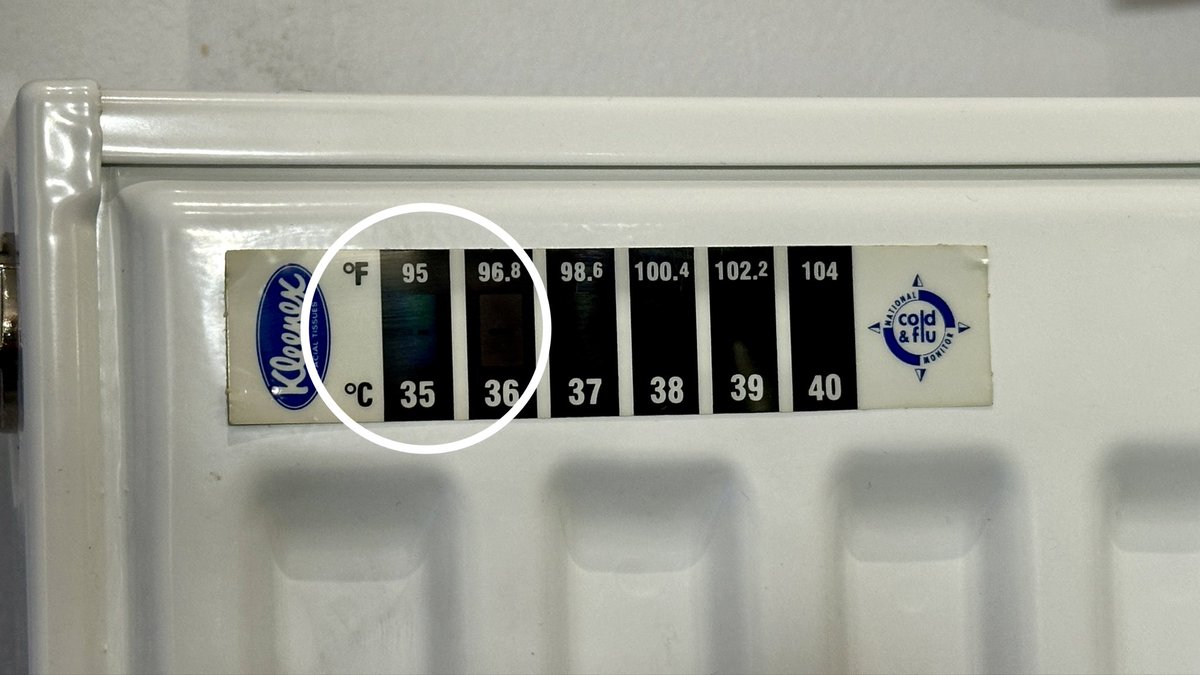 For those new to #HeatPump heating (yep, me) this is the weirdest thing!… the radiators are barely recording body temperature readings to have the house at 20 degrees. My coffee cup is warmer!