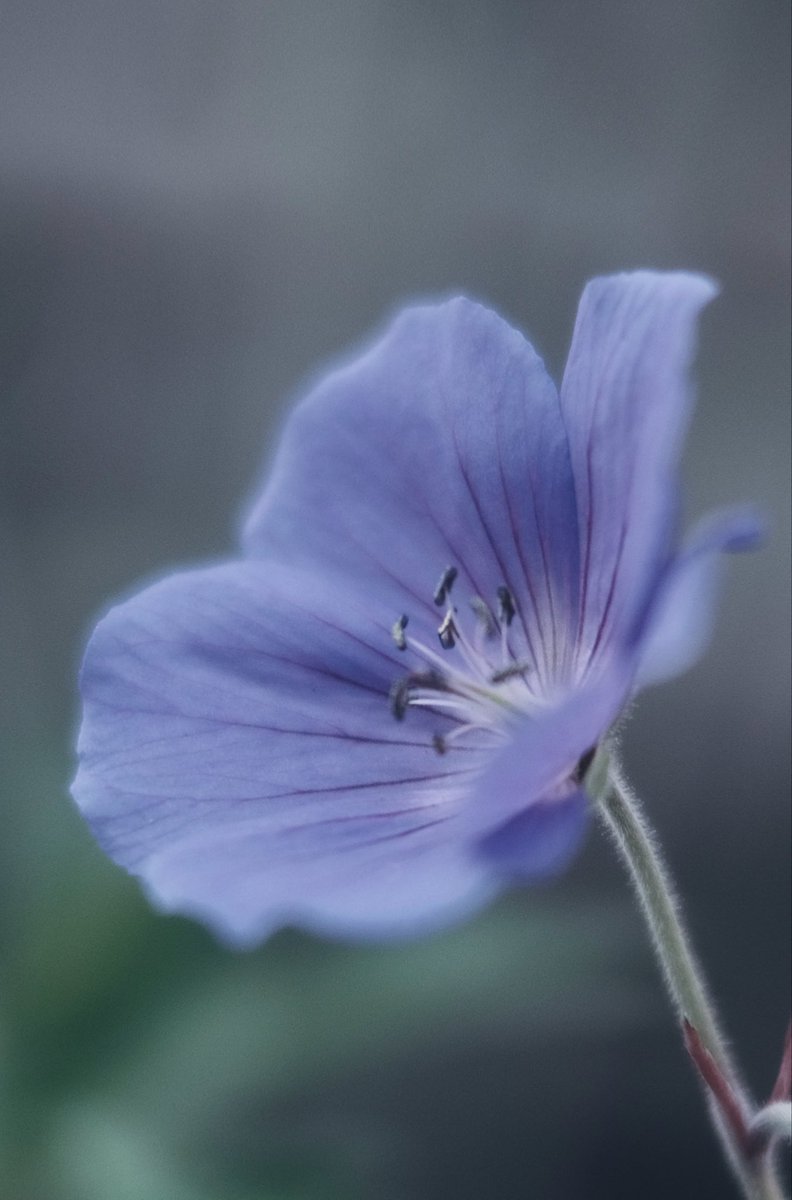 【するめページ】 📸kazumi (@zf1118kazumi) / Posts / X