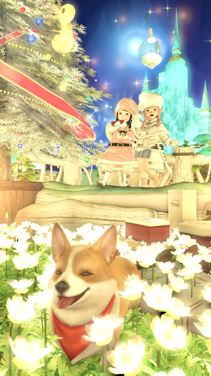 獣もっふもふ (@Kemonomoffumofu) / Posts / X