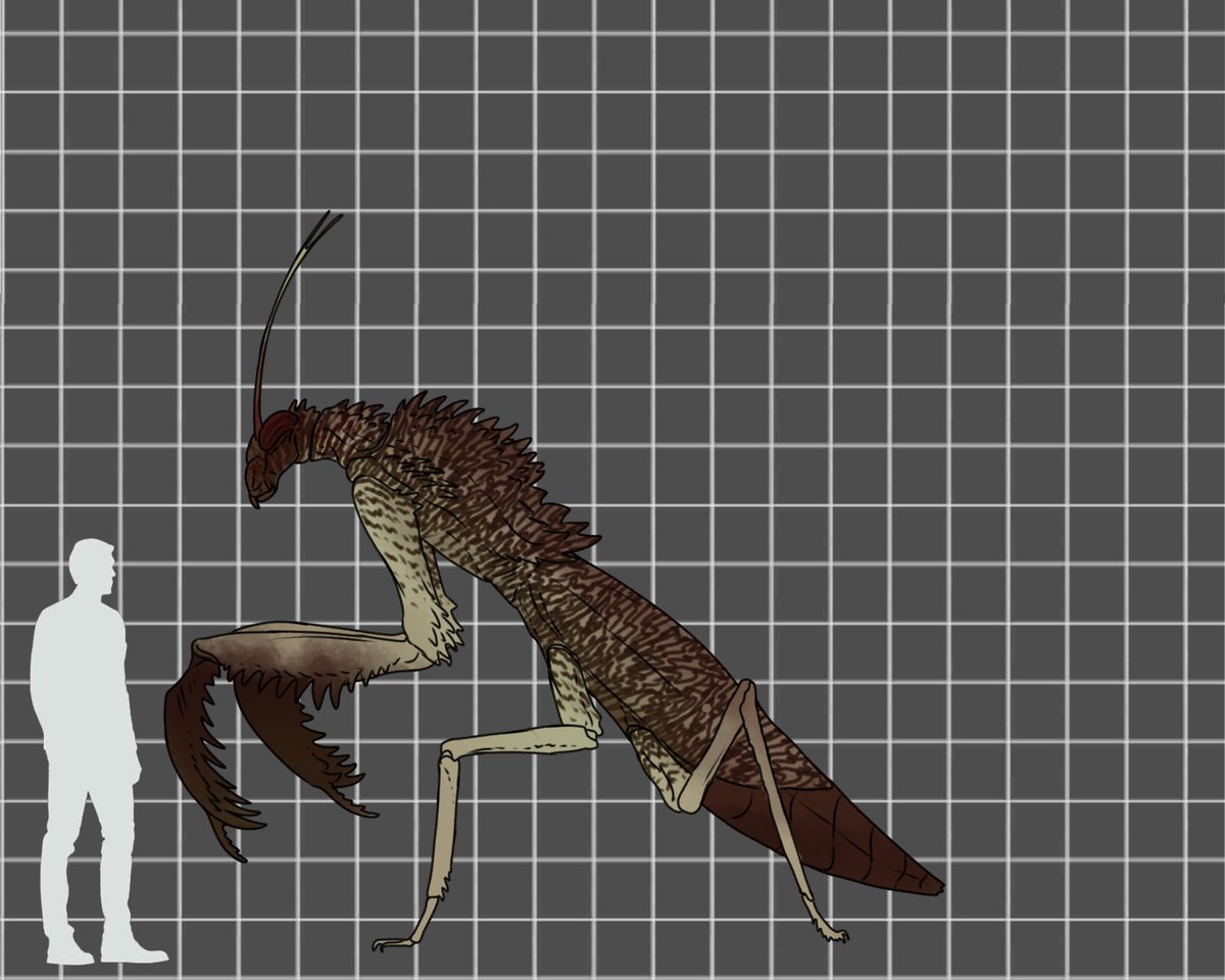 Wildlife of Skull Island - Skull Island large Pray Mantis, the tallest of the caverns arthropods. Often preying on Meganuera, large cockroaches, and any young large arthropods, these predators aren't picky, especially for anything new. Legend of Kong concept art by <a href="/MrFragilis/">PaleoFragilis43 (open commissions)</a>
