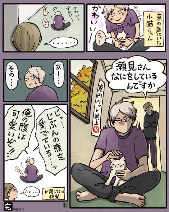 えーたとこねこたん 