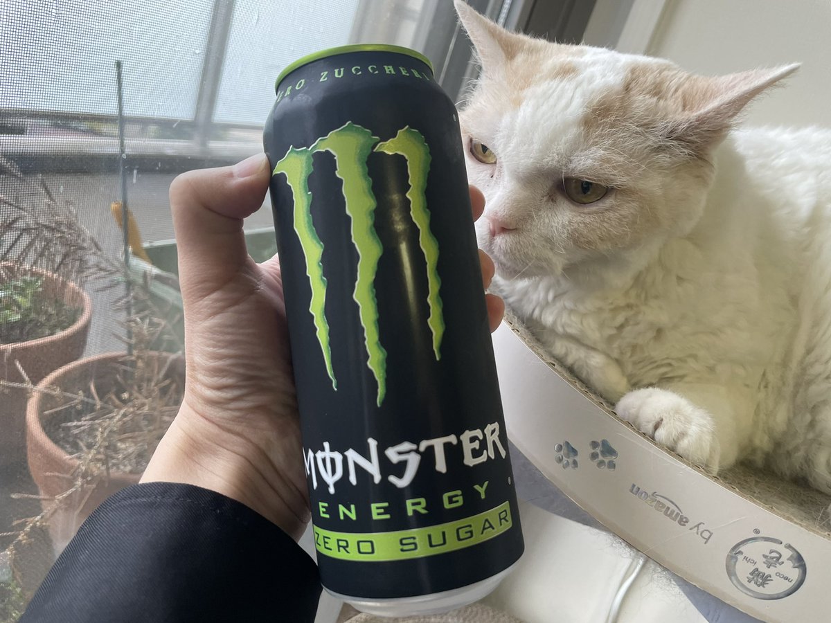 Pumpkin さんよろしくお願い申し上げます。 キン・シオタニの ムリしないけど時にがんばる 日めくり