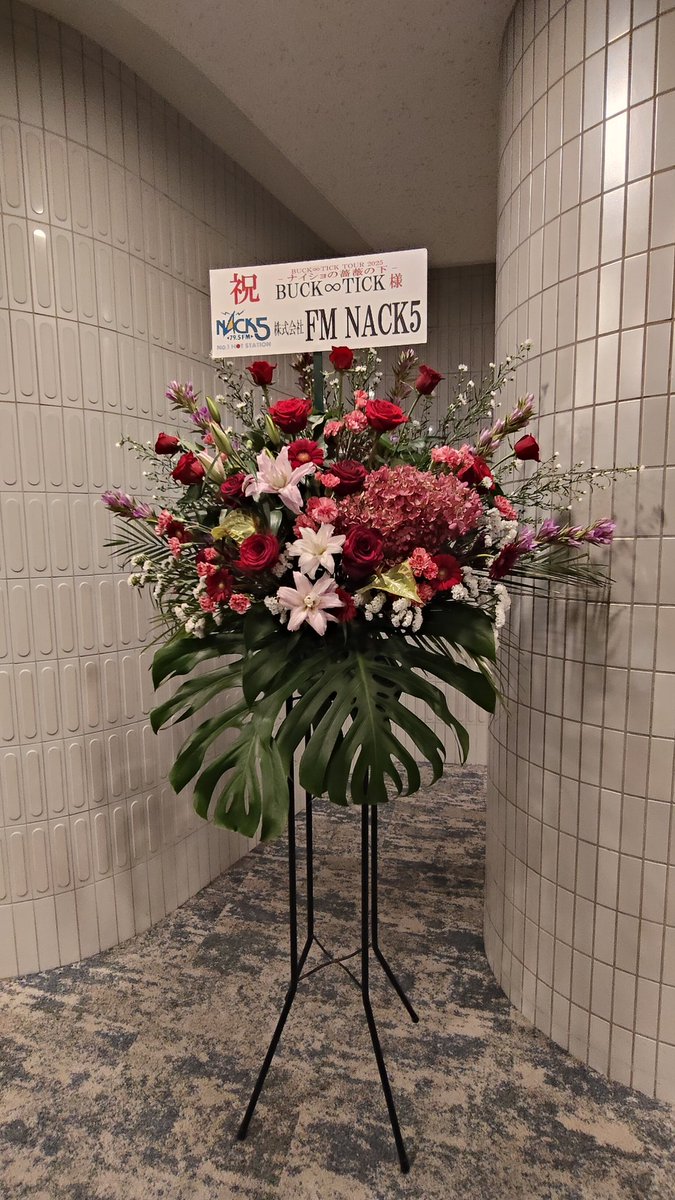 TOKKOページ SEIKO WIRED x Tokyo Revengers Collaboration Limited AGAK714