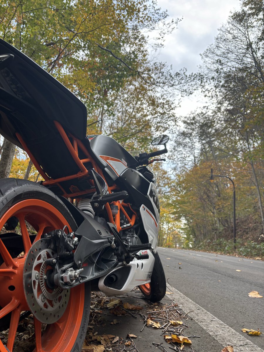 Alilce_22's tweet photo. 紅葉のピークって聞いたんですけど。。。
 #バイク乗りと繋がりたい
 #バイク好きと繋がりたい
 #RC250
 #KTM https://t.co/mi61tIqeND
