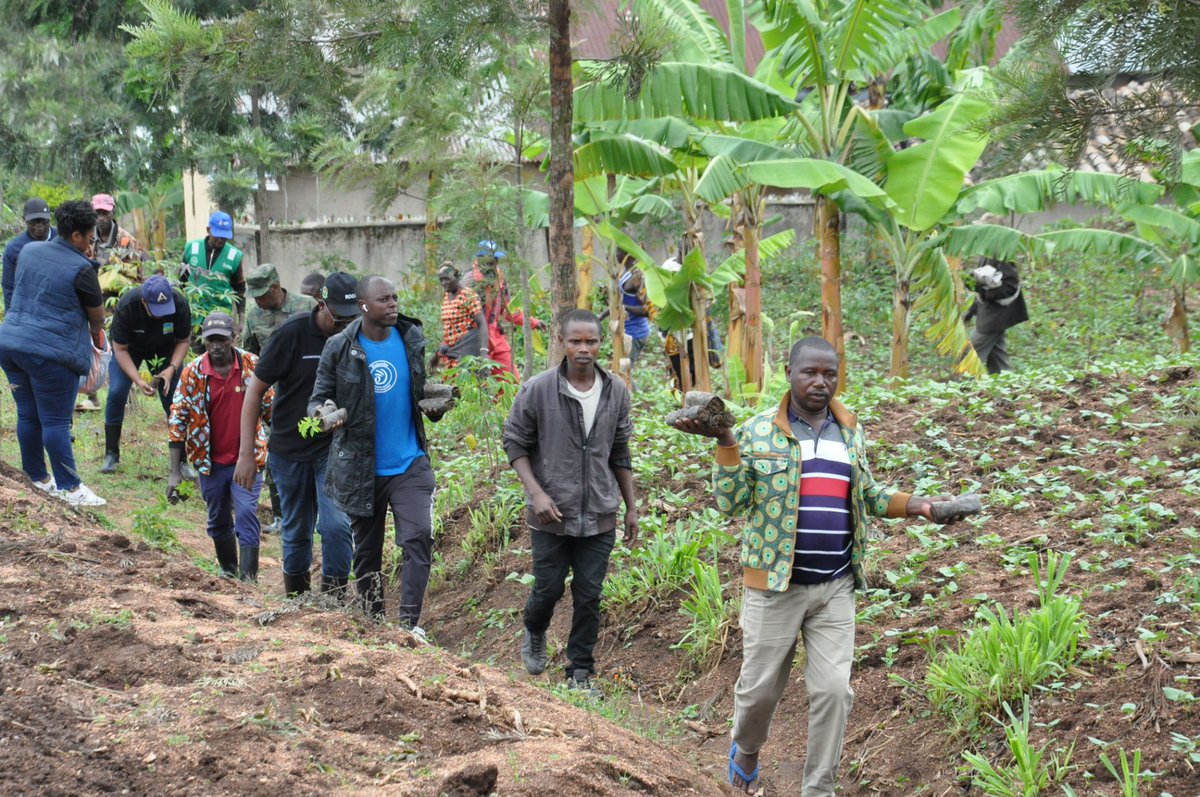 Kamonyi's tweet photo. Abagize Komite Nyobozi y'Akarere bifatanyije n’abatuye Akagari ka Ruyanza mu Murenge wa Nyarubaka mu muganda rusange wibanze ku gutera ibiti bivangwa n'imyaka. Ni gahunda yateguwe mu rwego rwo kongera umubare w'ibiti biterwa no kurengera ibidukikije @RwandaLocalGov @EnvironmentRw https://t.co/xqnsxoHaNk