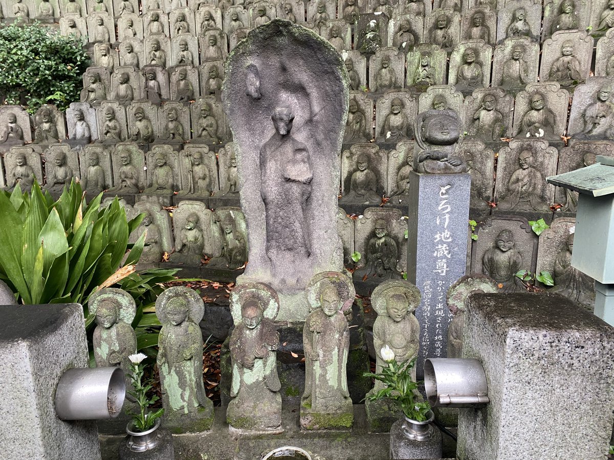 はじしらず ゆうすけ on X