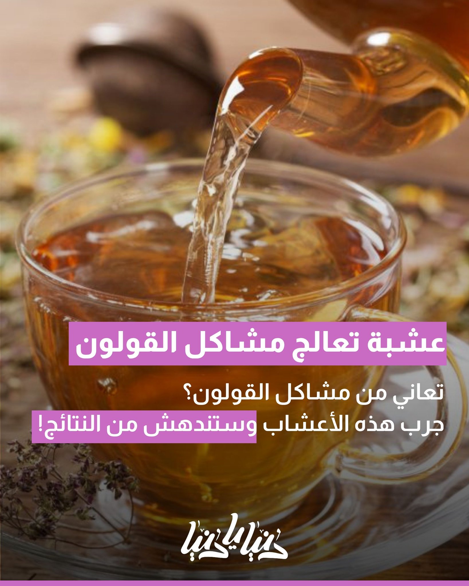 تعاني من مشاكل القولون؟ جرب هذه الأعشاب وستندهش من النتائج 