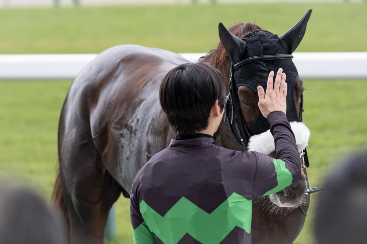 馬の画 紺@競馬 on X
