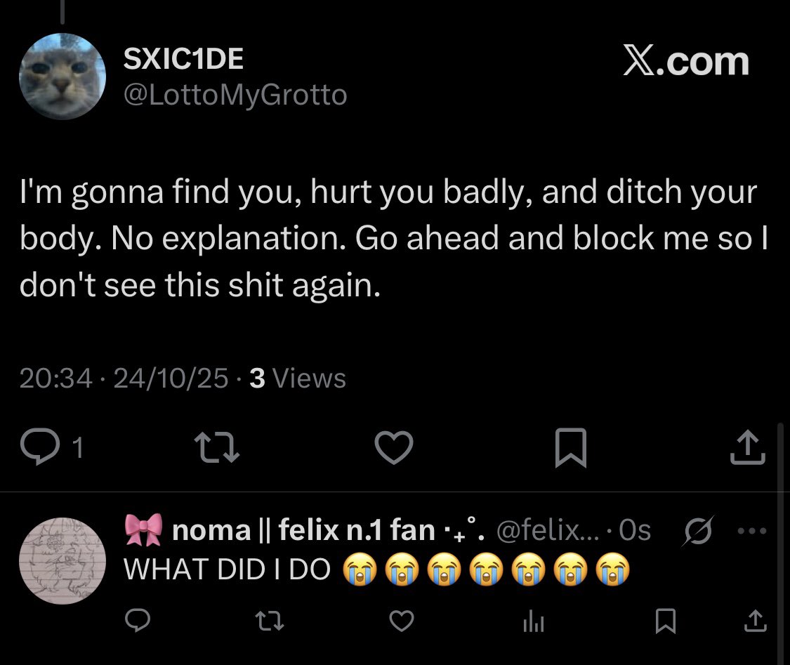 felixplushh's tweet image. twitter is such a weird place,,, 🥹