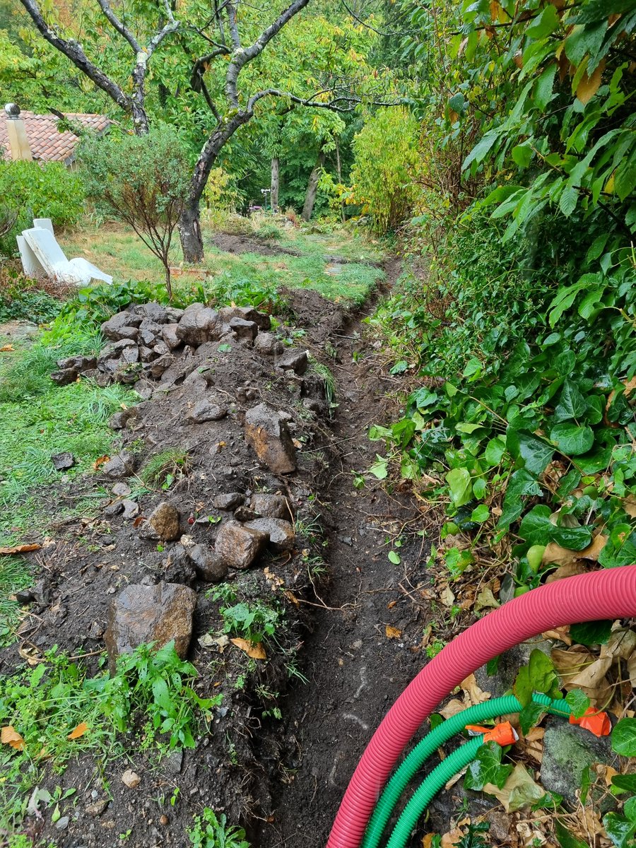 Nick Fox tweet media