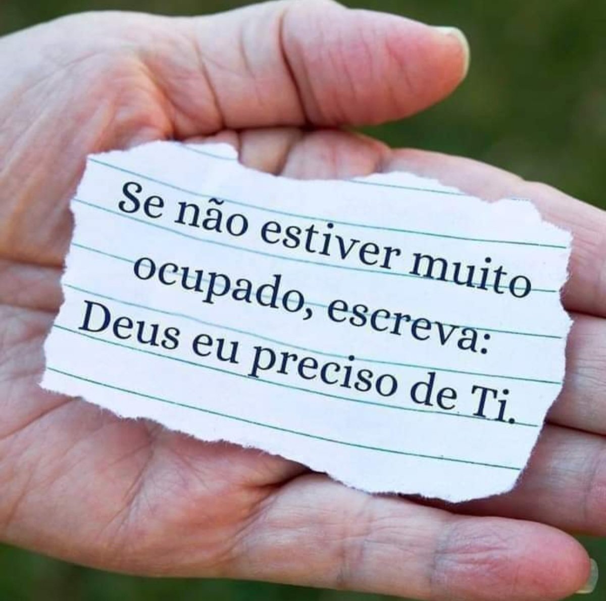 Freu Rodrigues tweet media