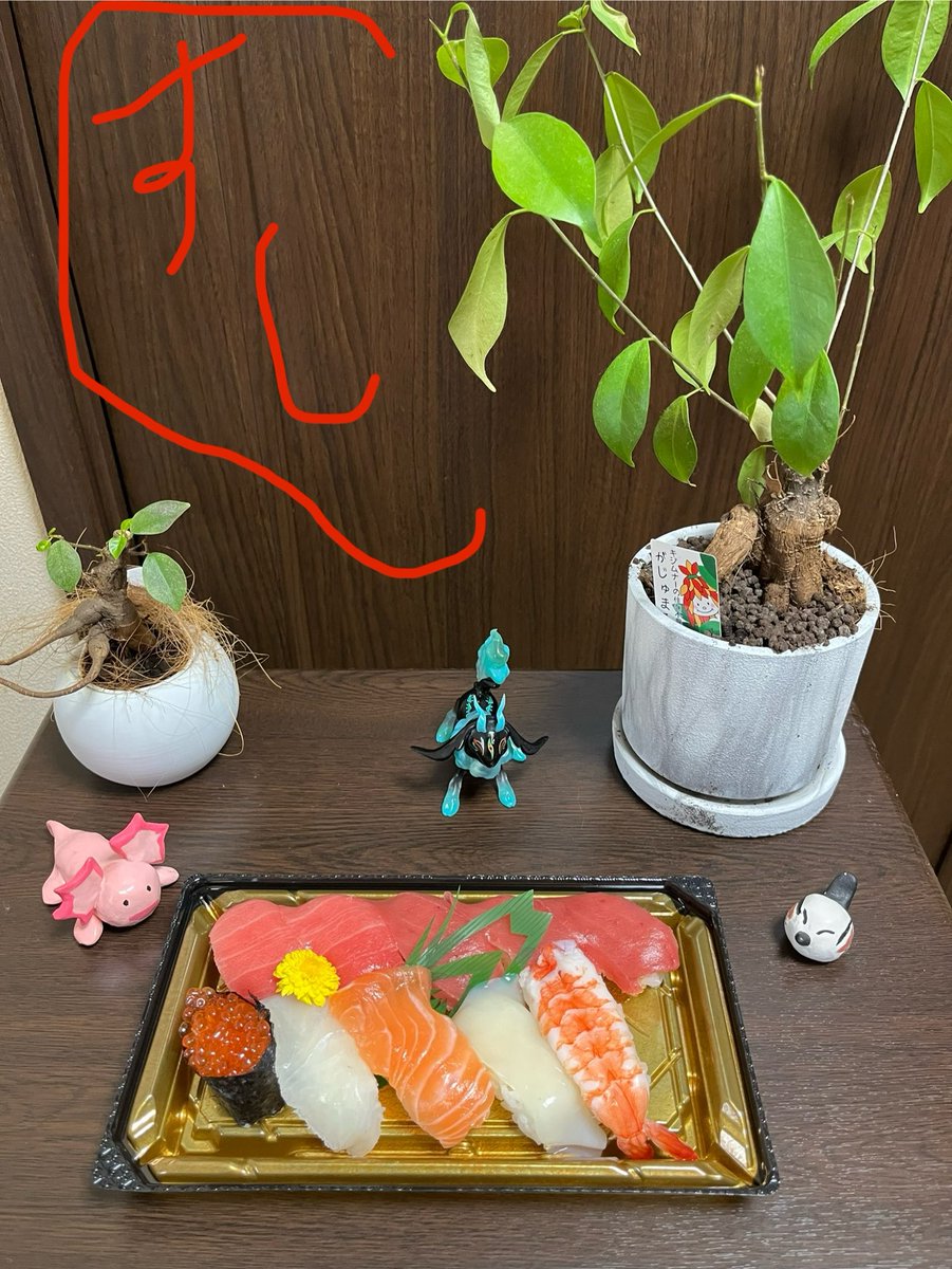 tezoro162531ページ オサジ コンフォータブル ベースコート