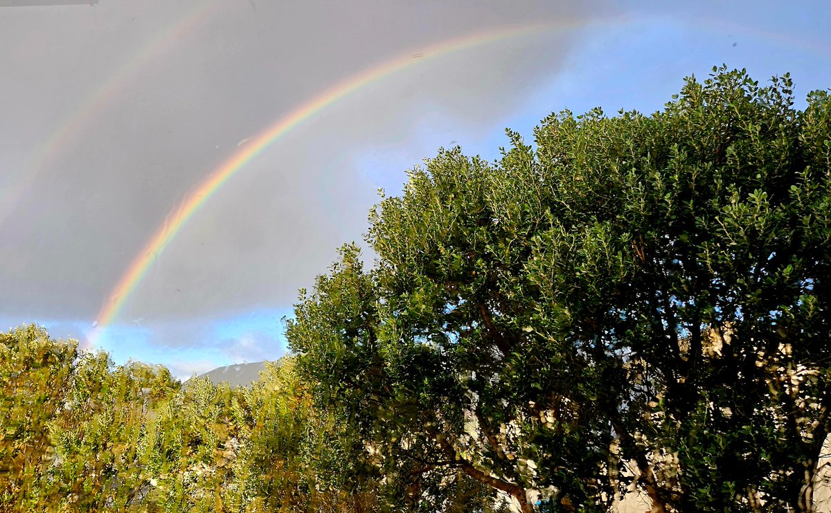 Good morning!

📸 Double rainbow out the kitchen window…
Still not doing the dishes, though!