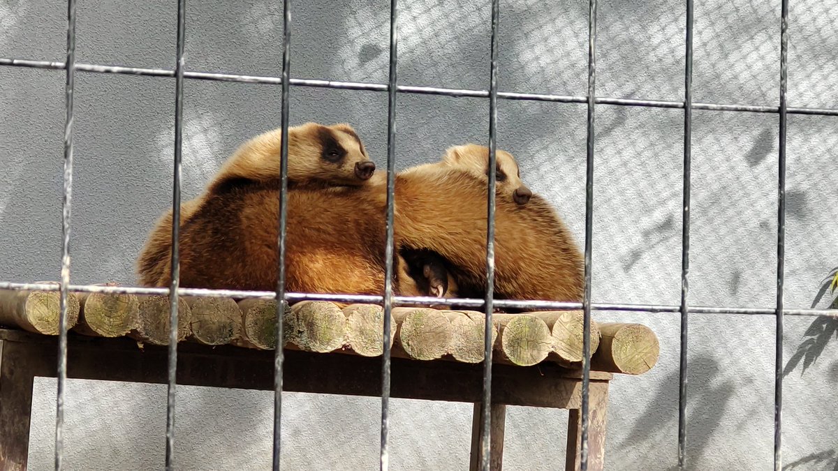 実は本日、私も来てたのよ 