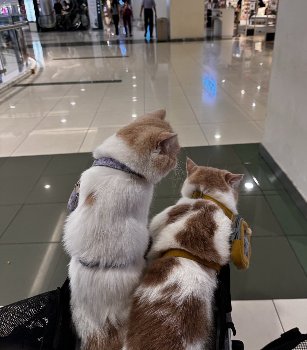 Happy Birthday my twins 😍😍. 4 years old!!